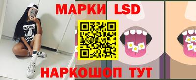 дмт Кингисепп