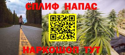 бошки Кинель
