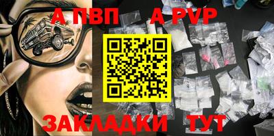 дмт Кингисепп