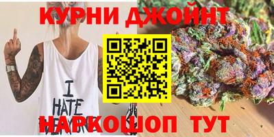 дмт Кингисепп