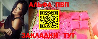 дмт Кингисепп