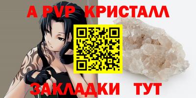 дмт Кингисепп